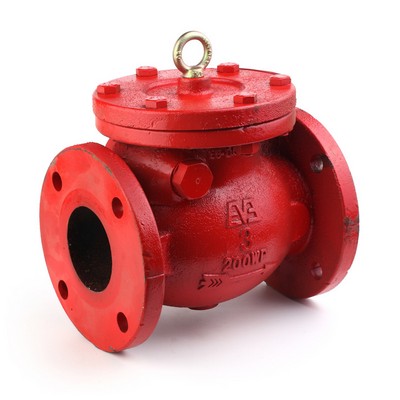 Wafer Swing Check Valve